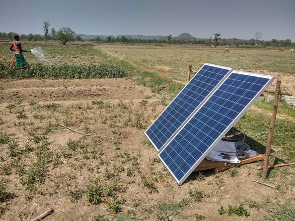 an do nong dan tuoi cay nho nang luong mat troi